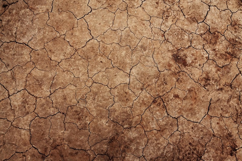 Magic-infused Soil