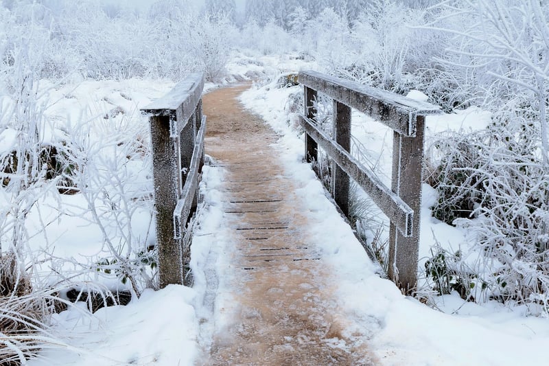 Whispering Wind Pathways